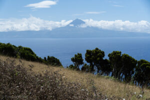 Widok z punktu widokowego Vigia da Baleia