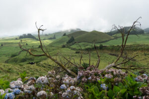 Miradouro do Pico do Carvão