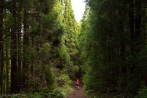 Trekking Misterios Negros