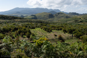 Obszar geotermalny Furnas do Enxofre