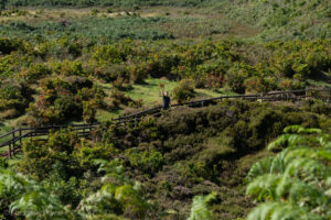 Obszar geotermalny Furnas do Enxofre