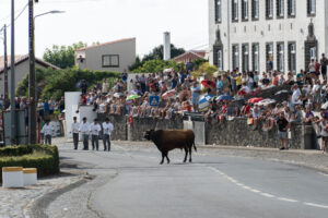 Tourada à corda w Santa Barbara