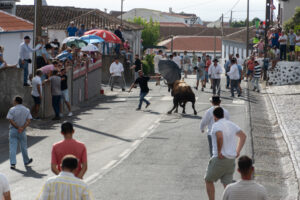 Tourada à corda w Santa Barbara