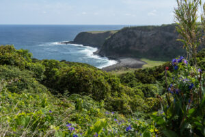 Miradouro Costa das Quatro Ribeiras