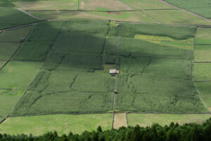 Miradouro da Serra do Cume
