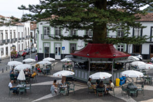 Knajpka wokół drzewa