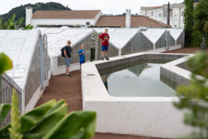 Plantacja ananasów Arruda