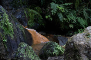 Centro de Interpretação Ambiental da Caldeira Velha