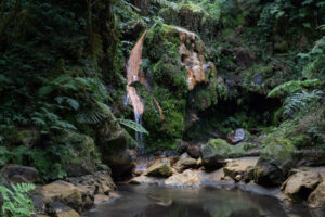 Centro de Interpretação Ambiental da Caldeira Velha