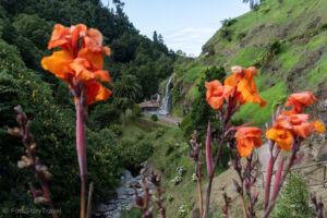 Parque Natural da Ribeira dos Caldeirões