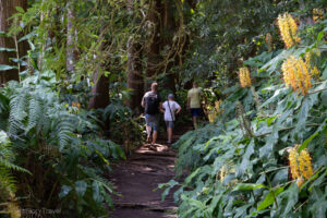 W drodze do Cascada do Rosal