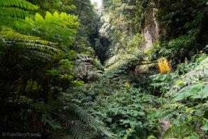 W drodze do Cascada do Rosal